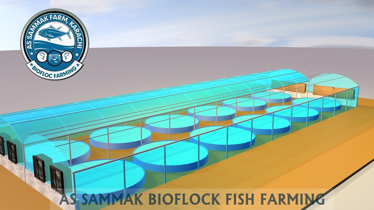 fishfarm
