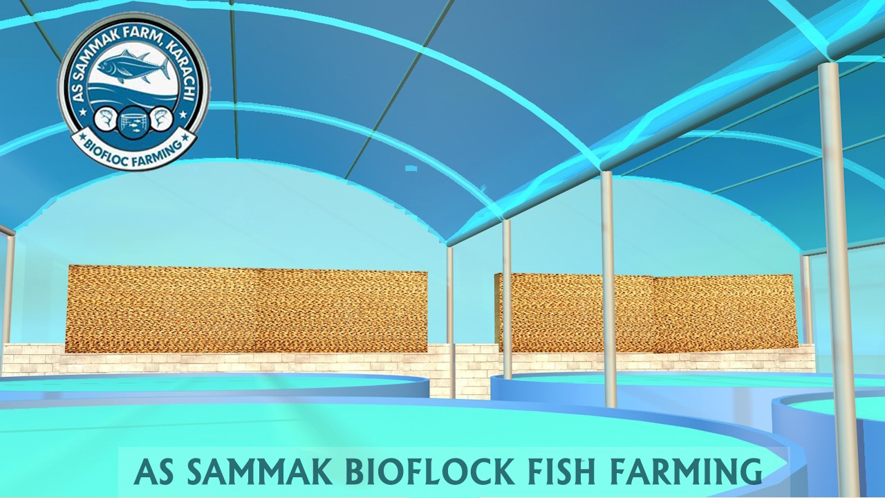 fishfarm1