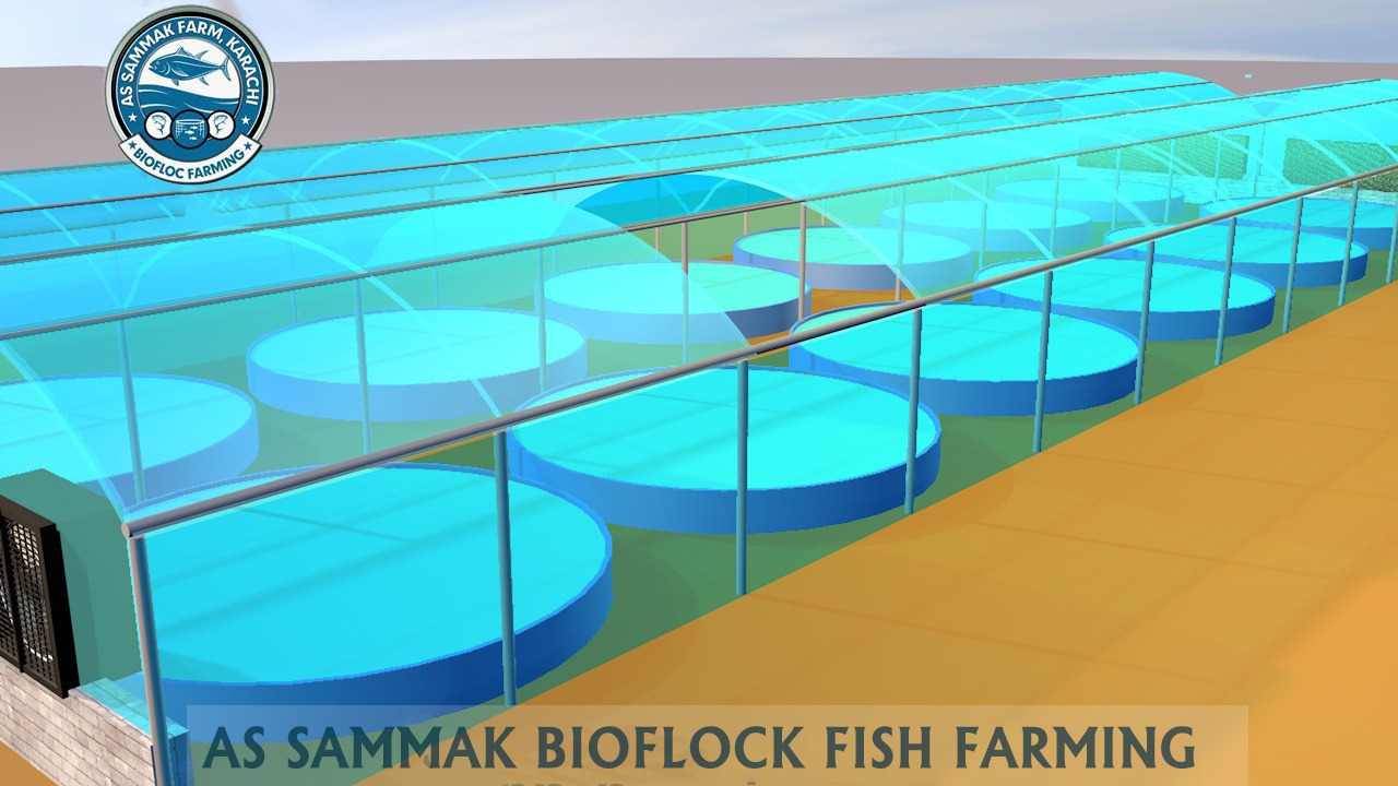 fishfarm2