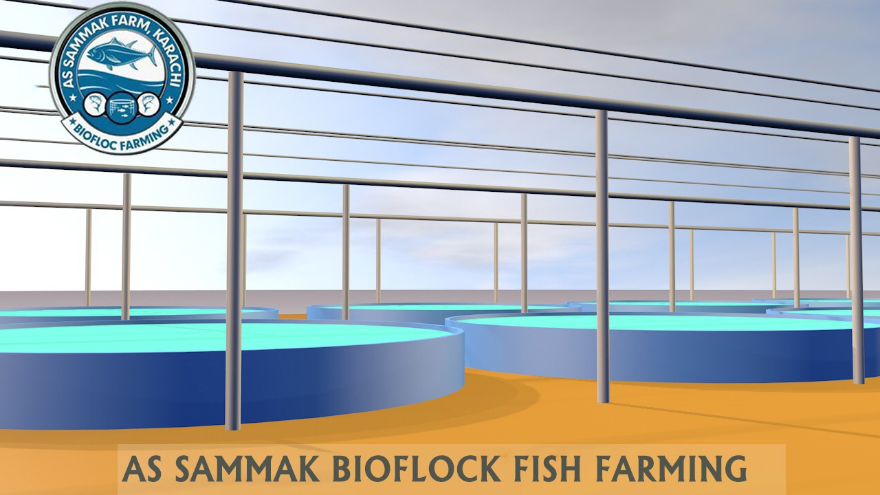 fishfarm3