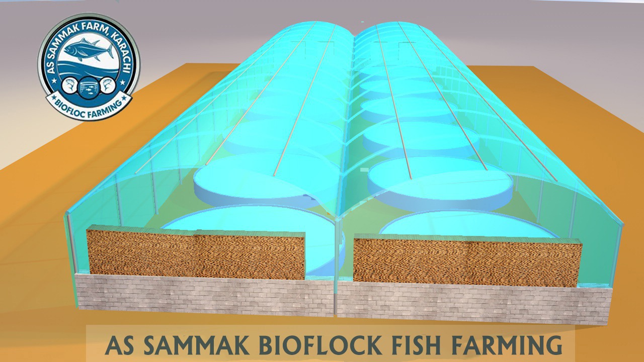 fishfarm4