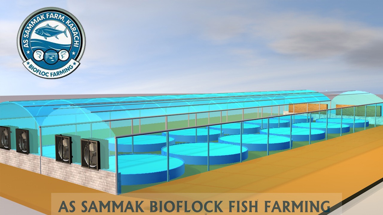 fishfarm5