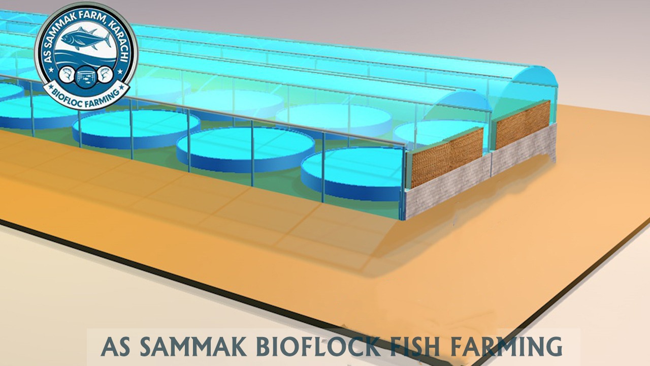 fishfarm6